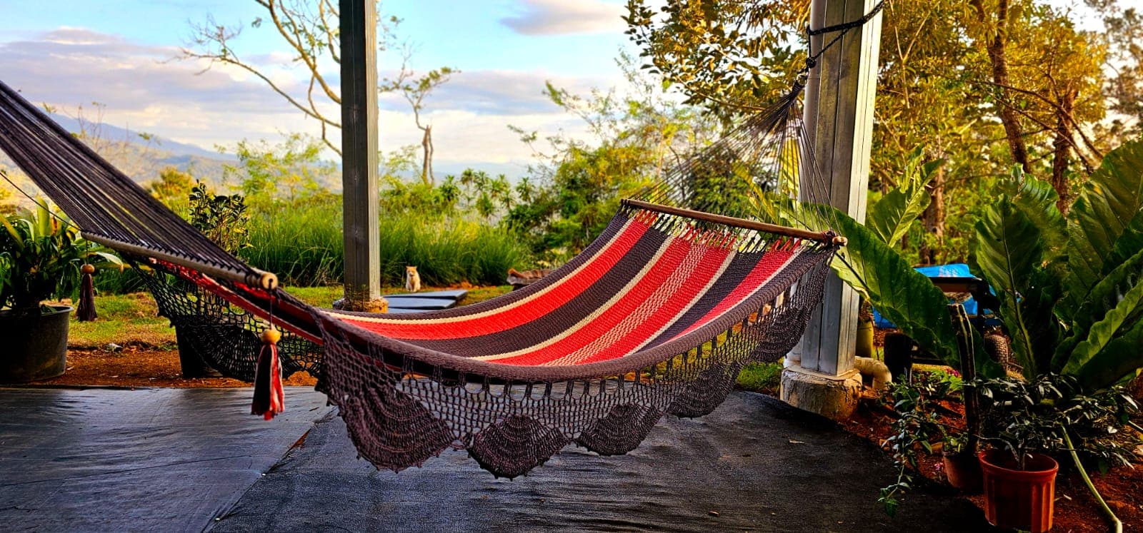 Gardens and meditation spaces