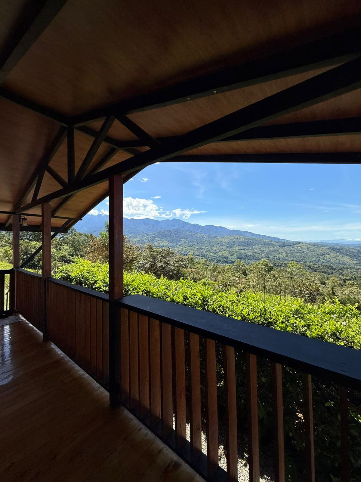 Private balcony with nature views
